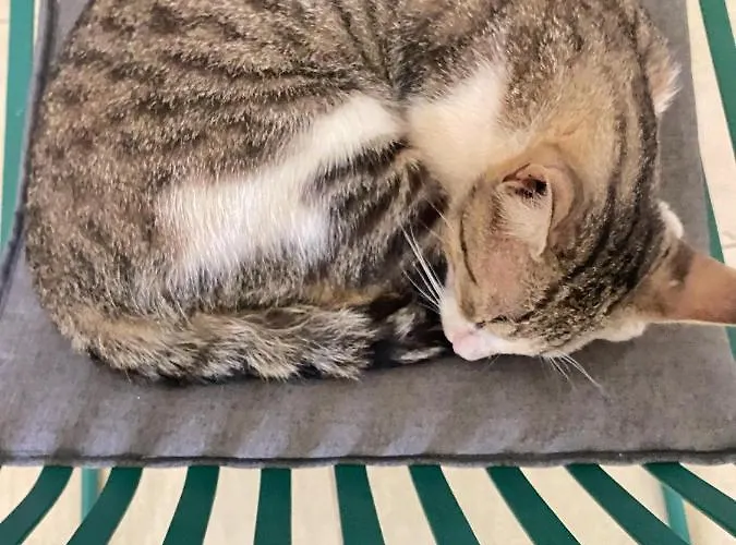 אכסניה Hasta La Vista