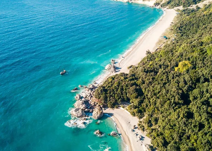 Hasta La Vista סרנדה