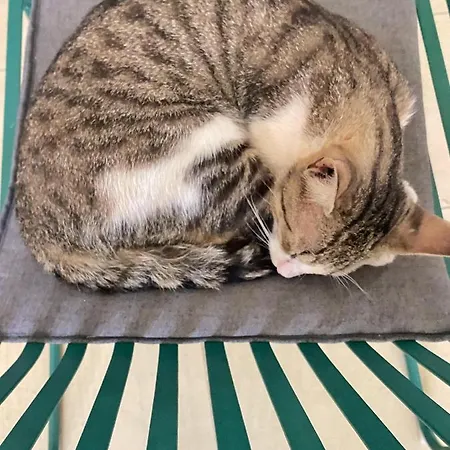 Hostel Hasta La Vista